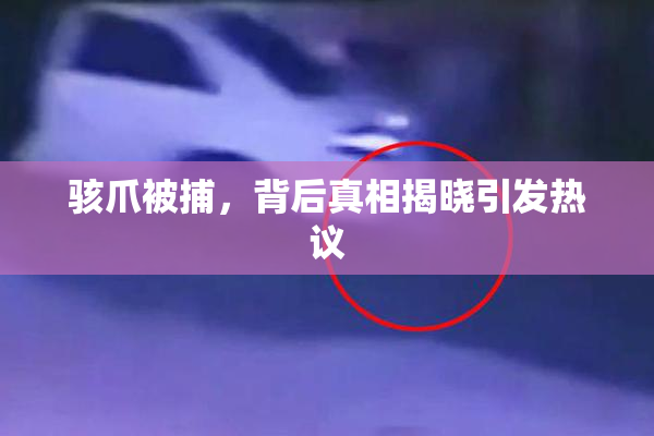 骇爪被捕，背后真相揭晓引发热议