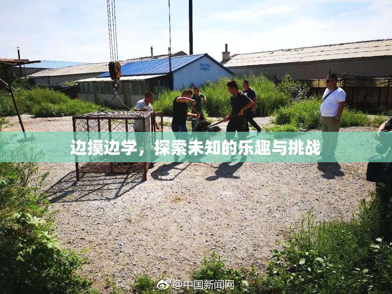 边摸边学，探索未知的乐趣与挑战