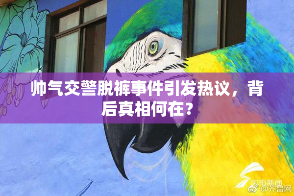 帅气交警脱裤事件引发热议，背后真相何在？
