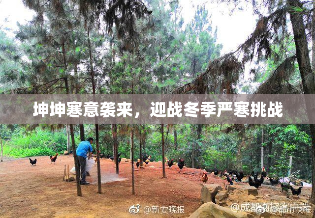 坤坤寒意袭来，迎战冬季严寒挑战