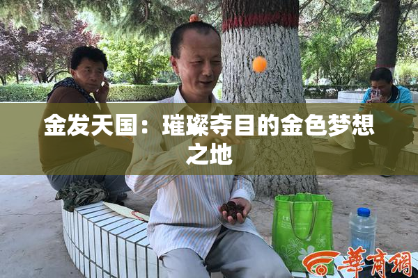 金发天国：璀璨夺目的金色梦想之地