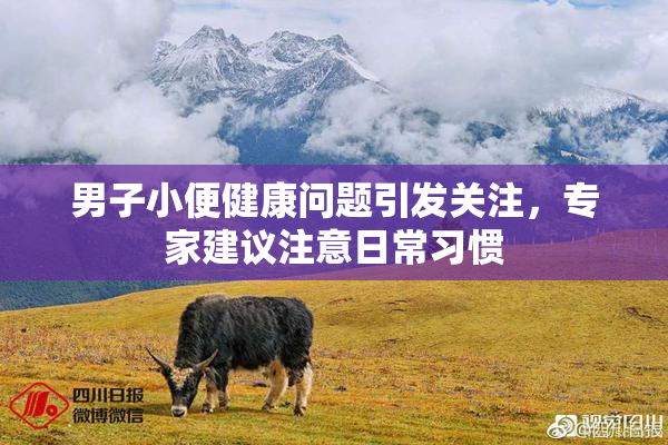 男子小便健康问题引发关注，专家建议注意日常习惯