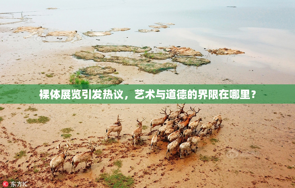 裸体展览引发热议，艺术与道德的界限在哪里？