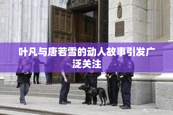 叶凡与唐若雪的动人故事引发广泛关注
