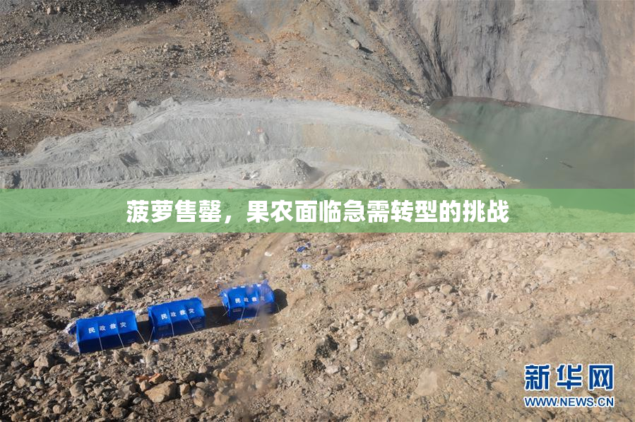 菠萝售罄，果农面临急需转型的挑战