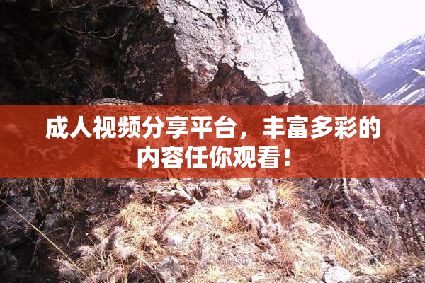 成人视频分享平台，丰富多彩的内容任你观看！