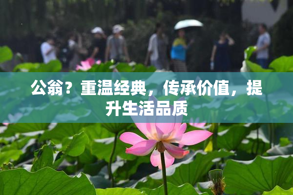 公翁？重温经典，传承价值，提升生活品质