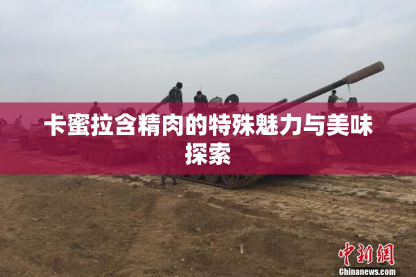 卡蜜拉含精肉的特殊魅力与美味探索