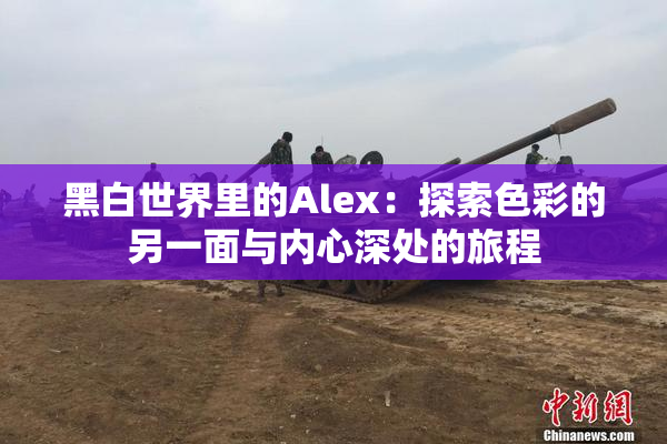黑白世界里的Alex：探索色彩的另一面与内心深处的旅程