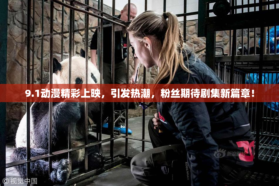 9.1动漫精彩上映，引发热潮，粉丝期待剧集新篇章！