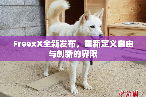 FreexX全新发布，重新定义自由与创新的界限