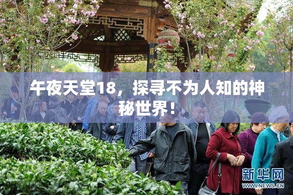 午夜天堂18，探寻不为人知的神秘世界！