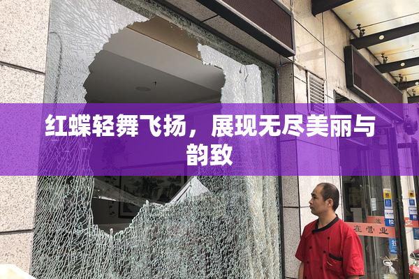 红蝶轻舞飞扬，展现无尽美丽与韵致