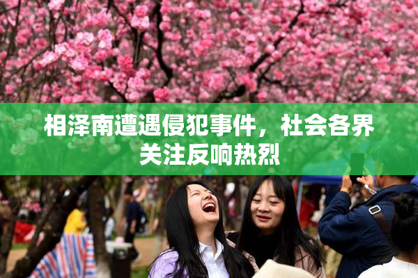 相泽南遭遇侵犯事件，社会各界关注反响热烈