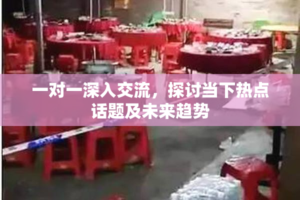 一对一深入交流，探讨当下热点话题及未来趋势