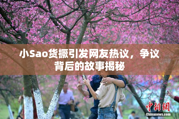 小Sao货撅引发网友热议，争议背后的故事揭秘