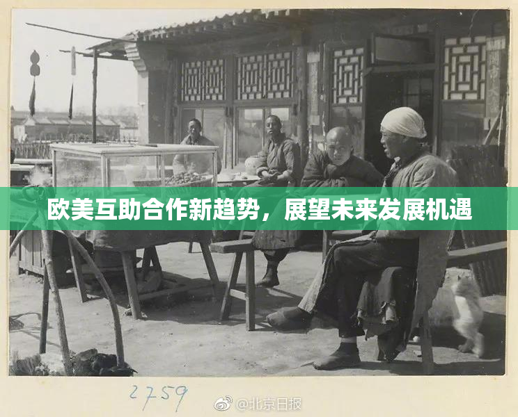 欧美互助合作新趋势，展望未来发展机遇