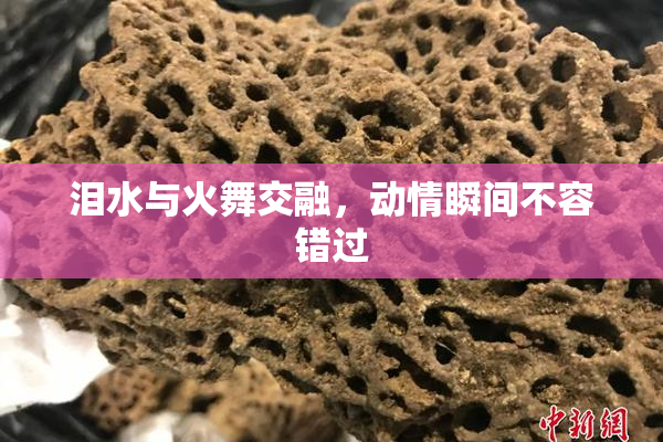 泪水与火舞交融，动情瞬间不容错过