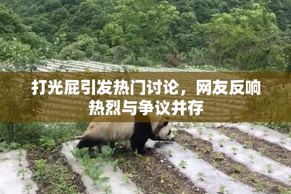 打光屁引发热门讨论，网友反响热烈与争议并存