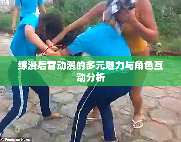 综漫后宫动漫的多元魅力与角色互动分析