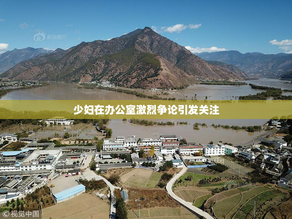 少妇在办公室激烈争论引发关注