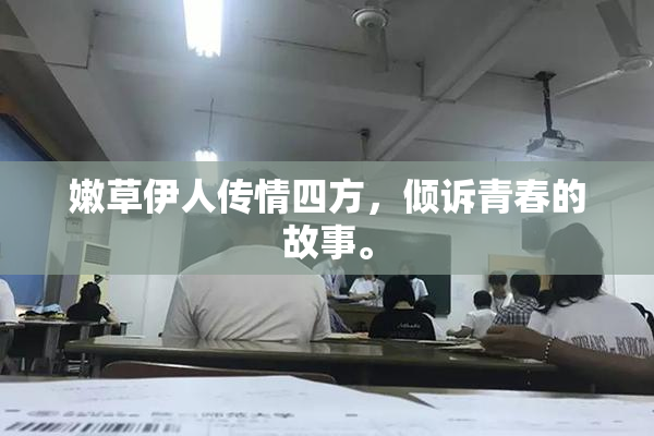 嫩草伊人传情四方，倾诉青春的故事。