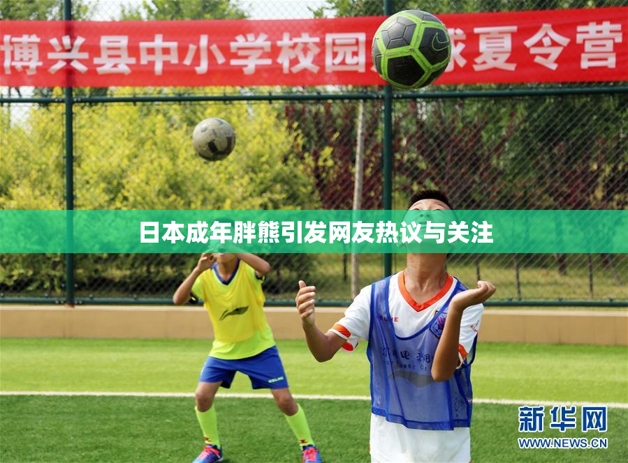 日本成年胖熊引发网友热议与关注