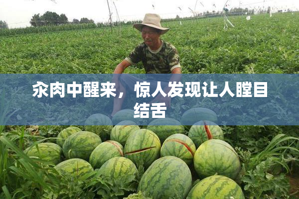汆肉中醒来，惊人发现让人瞠目结舌