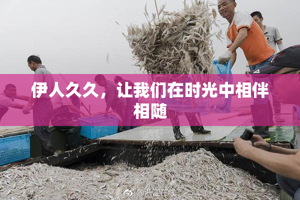 伊人久久，让我们在时光中相伴相随