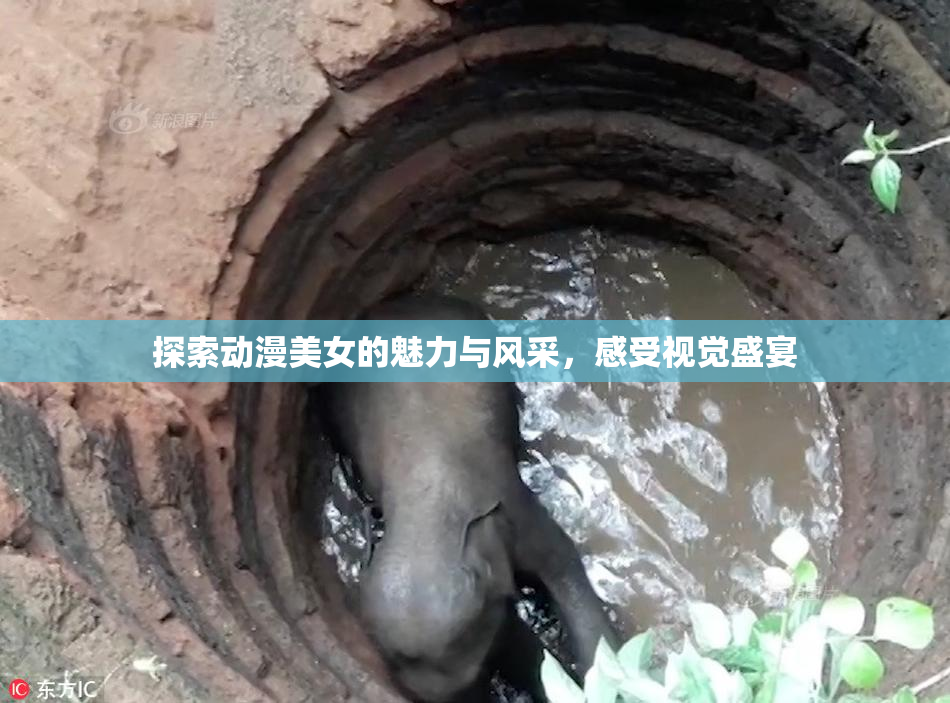 探索动漫美女的魅力与风采，感受视觉盛宴
