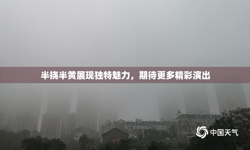 半挠半黄展现独特魅力，期待更多精彩演出
