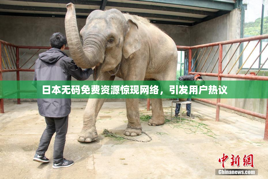 日本无码免费资源惊现网络，引发用户热议