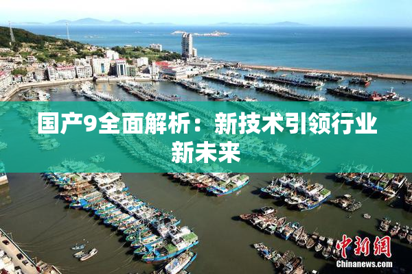 国产9全面解析：新技术引领行业新未来