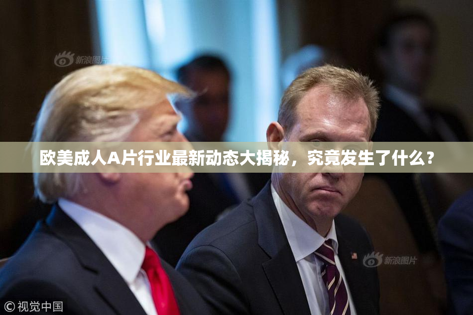 欧美成人A片行业最新动态大揭秘，究竟发生了什么？