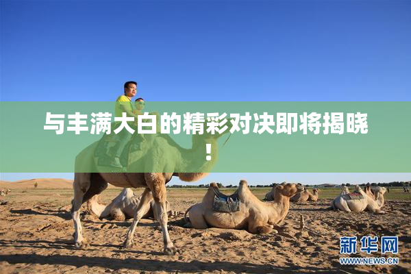 与丰满大白的精彩对决即将揭晓！