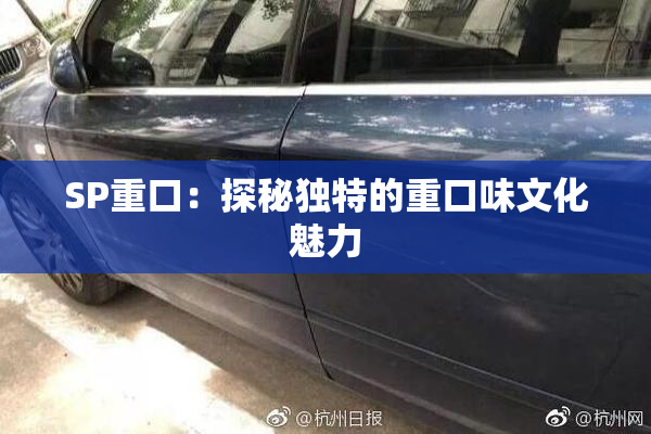 SP重口：探秘独特的重口味文化魅力