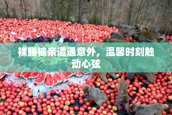 裸睡被亲遭遇意外，温馨时刻触动心弦