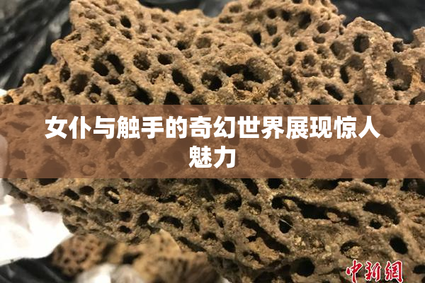 女仆与触手的奇幻世界展现惊人魅力