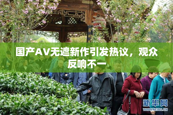 国产AV无遮新作引发热议，观众反响不一
