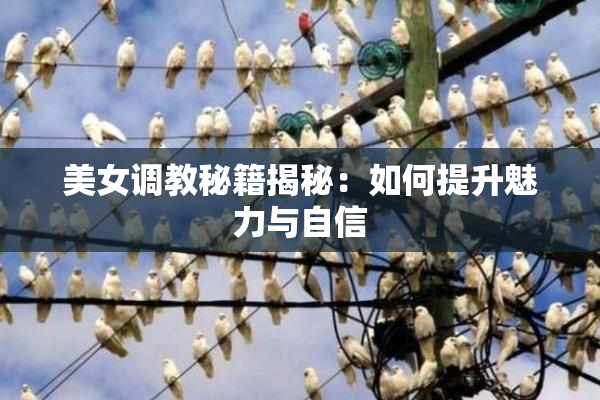 美女调教秘籍揭秘：如何提升魅力与自信