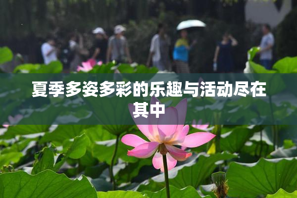 夏季多姿多彩的乐趣与活动尽在其中