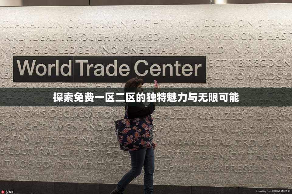 探索免费一区二区的独特魅力与无限可能