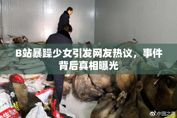 B站暴躁少女引发网友热议，事件背后真相曝光