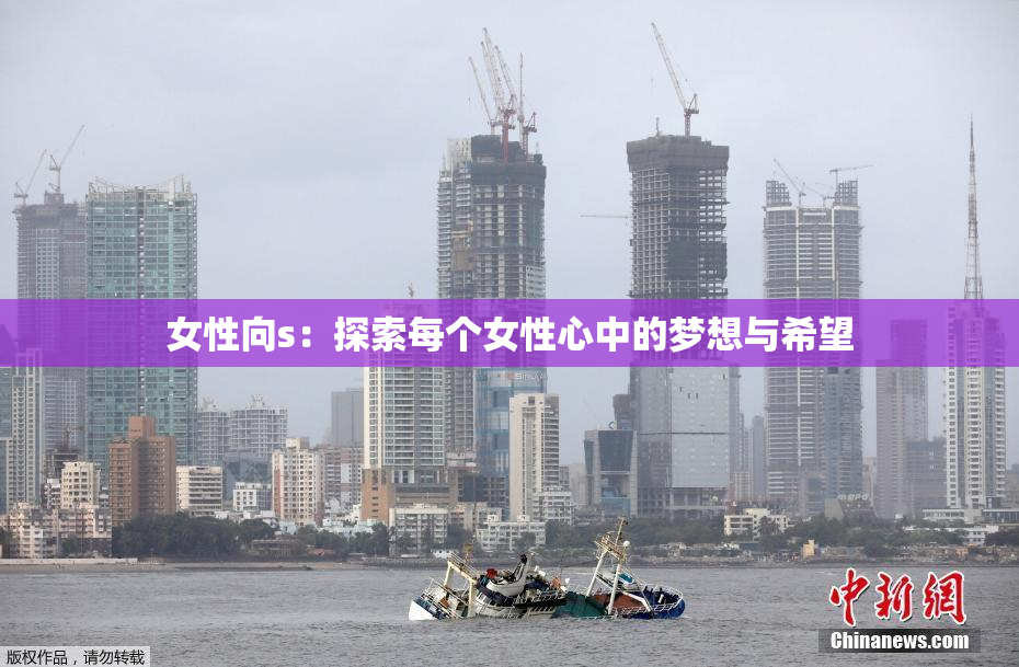 女性向s：探索每个女性心中的梦想与希望