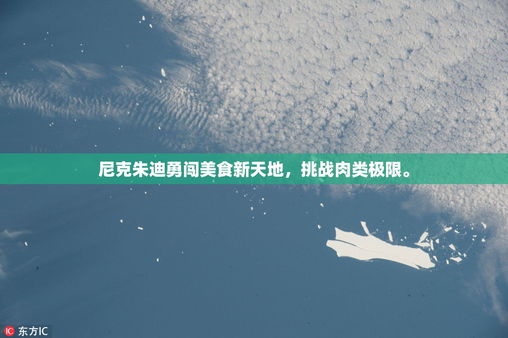 尼克朱迪勇闯美食新天地，挑战肉类极限。