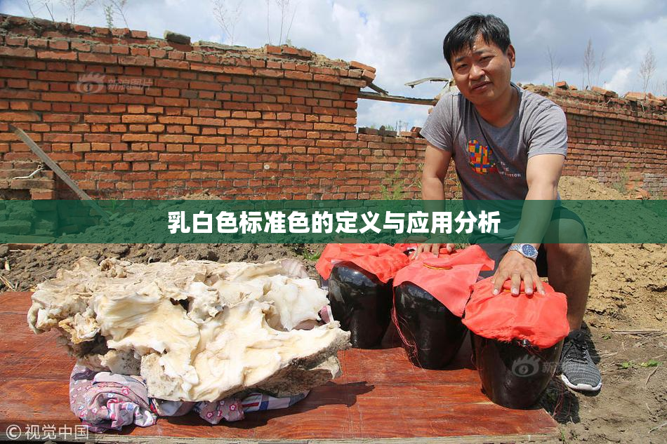乳白色标准色的定义与应用分析