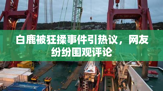 白鹿被狂揉事件引热议，网友纷纷围观评论