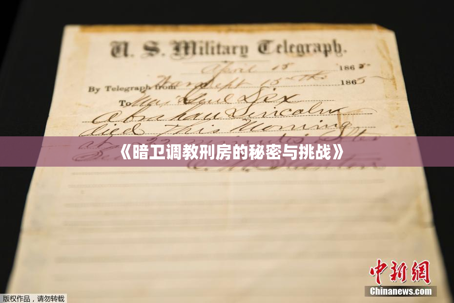 《暗卫调教刑房的秘密与挑战》