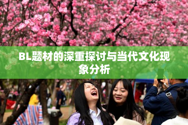 BL题材的深重探讨与当代文化现象分析