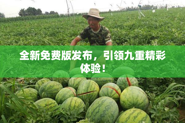 全新免费版发布，引领九重精彩体验！